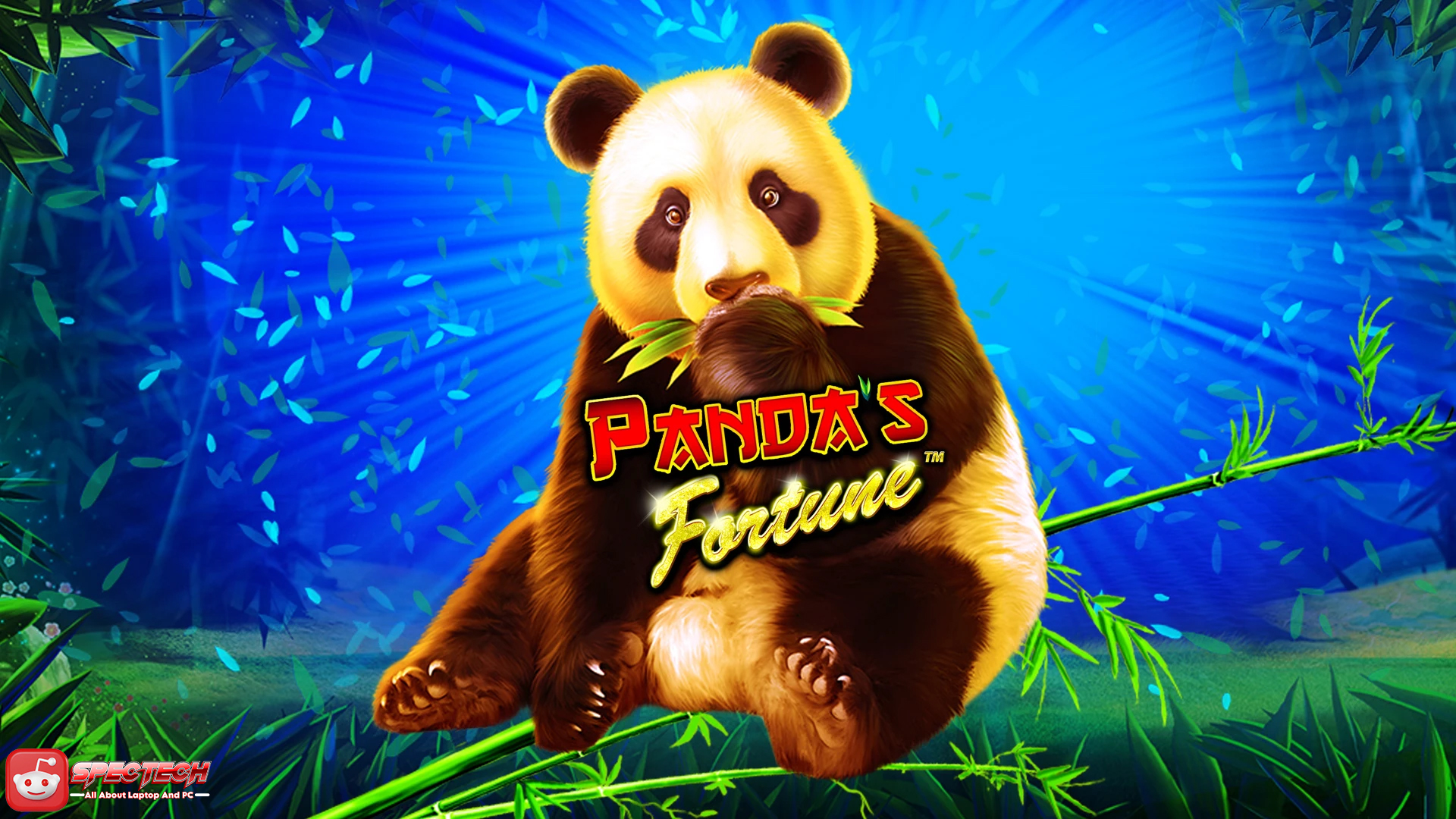 Temukan Keberuntungan di Slot Panda Fortune: Jackpot Menanti