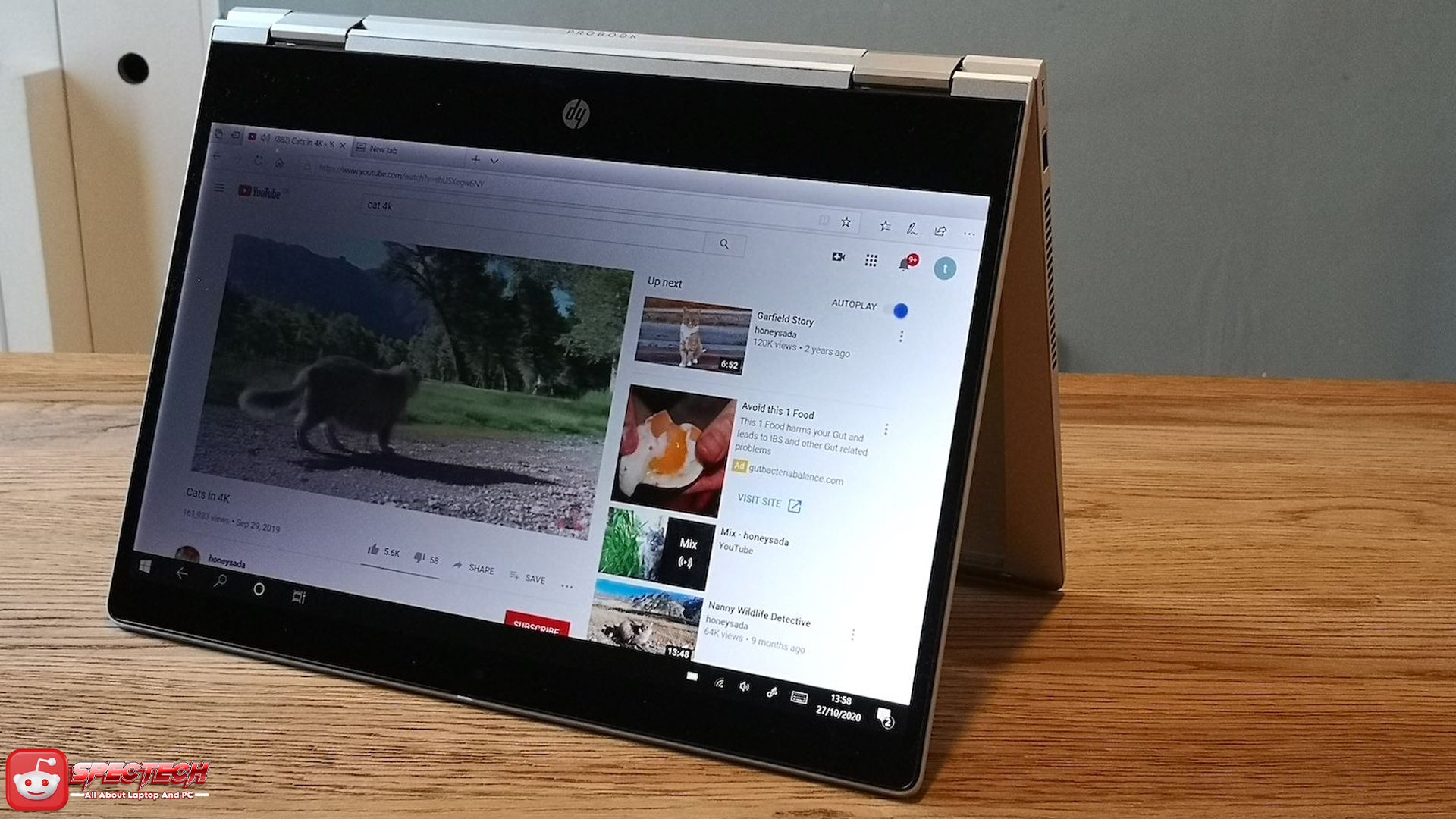 HP ProBook x360 435 G7: Laptop Convertible Tangguh dan Efisien