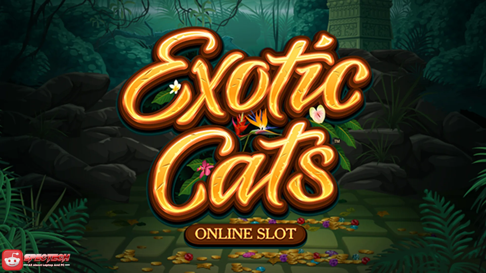 Eksotis Banget! Unlock Misterius Exotic Cats Kekinian