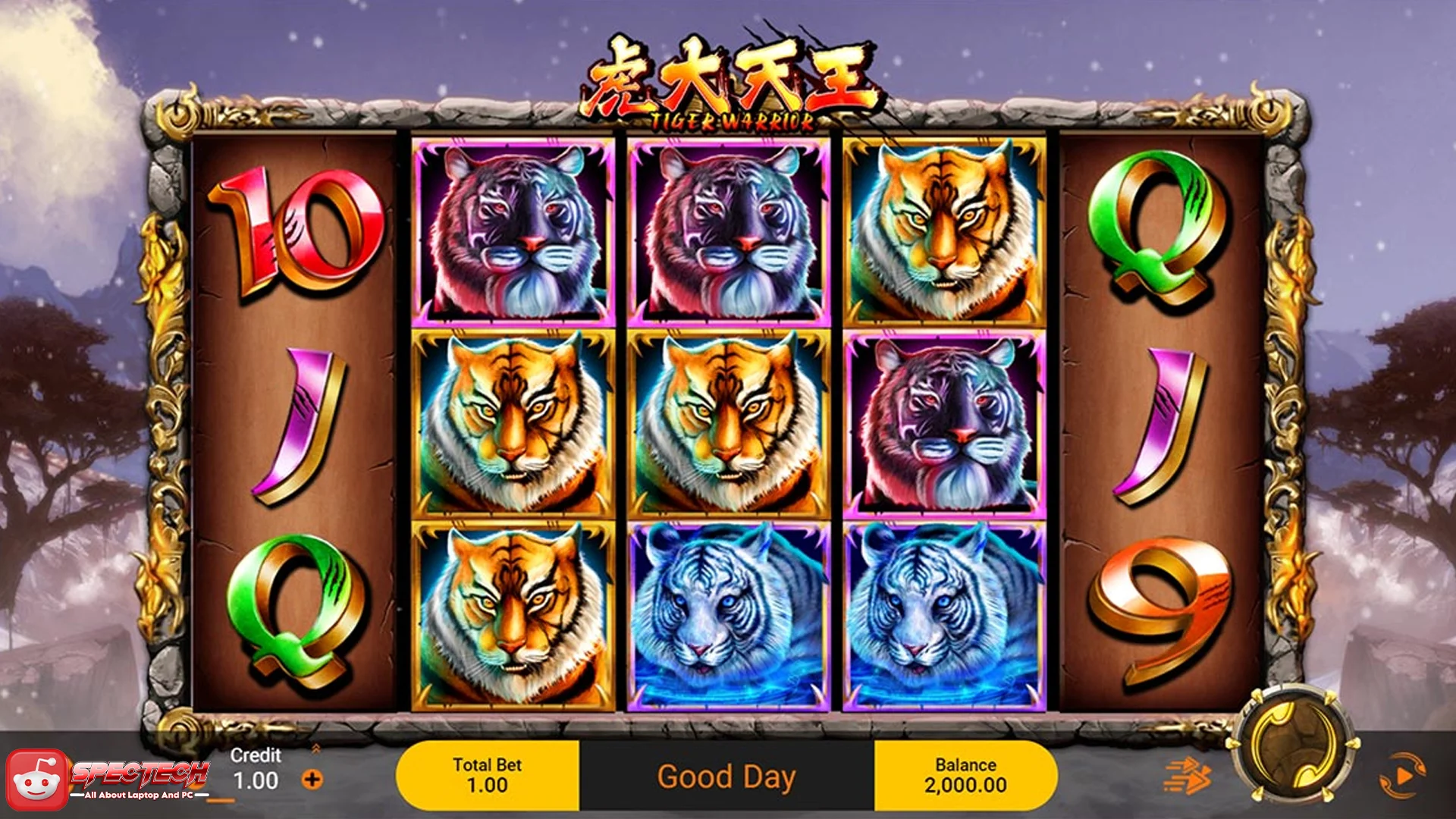 Tiger Warrior Lebih Enak dari yang Lu Kira Insane 5 Menit